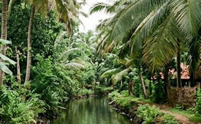 Man dies after car falls into canal in Kerala